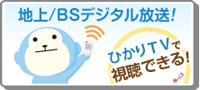 地上/BSデジタル放送！