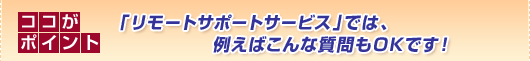 ココがポイント「リモートサポートサービス」では、例えばこんな質問もOKです!
