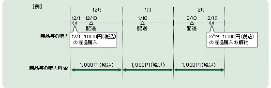 月額定額タイプ:商品などの購入の場合